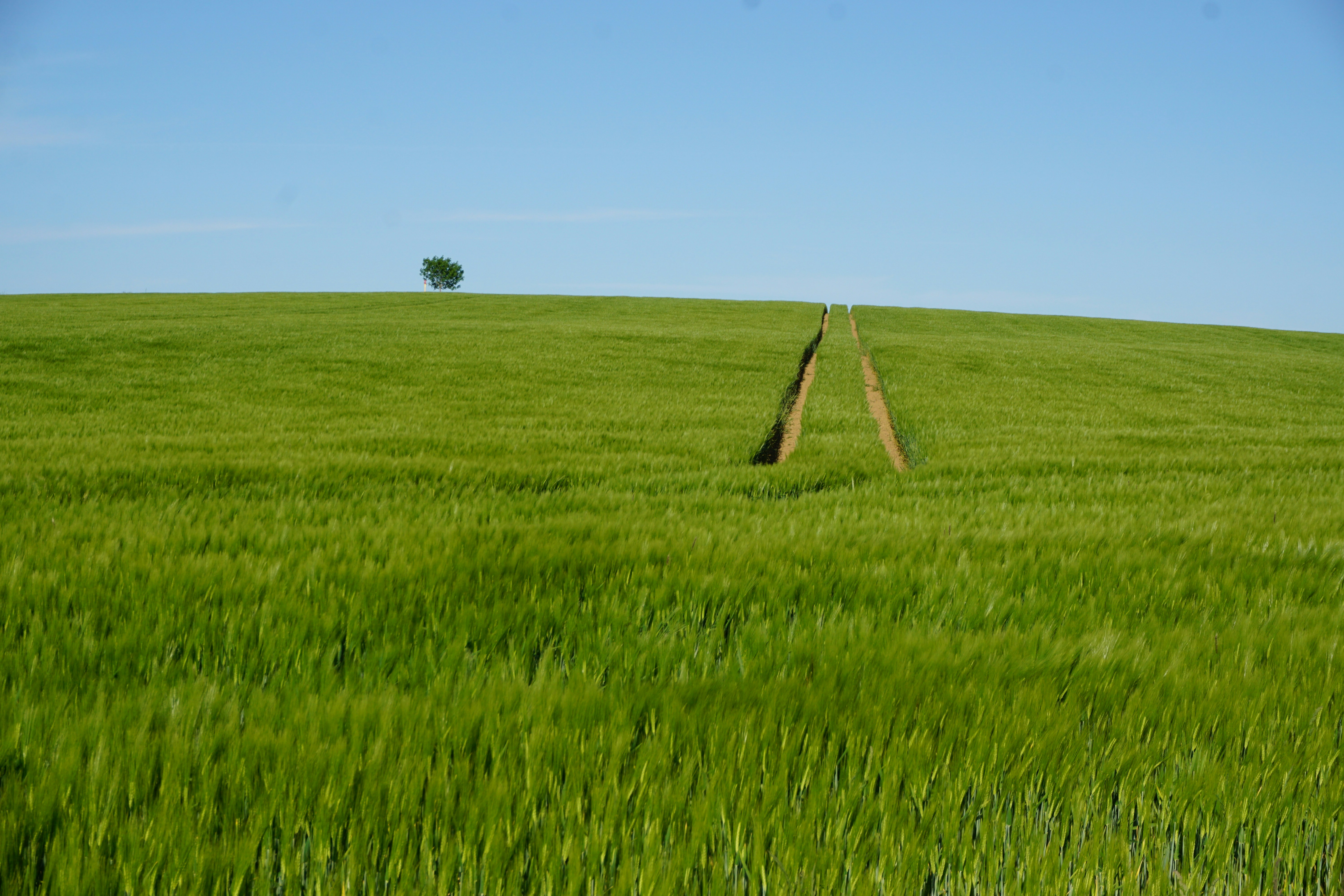 Photo by andreas_haubold