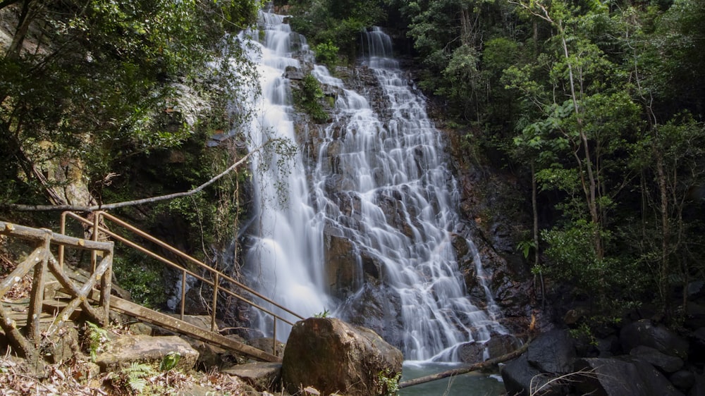 a waterfall in the middle of a forest