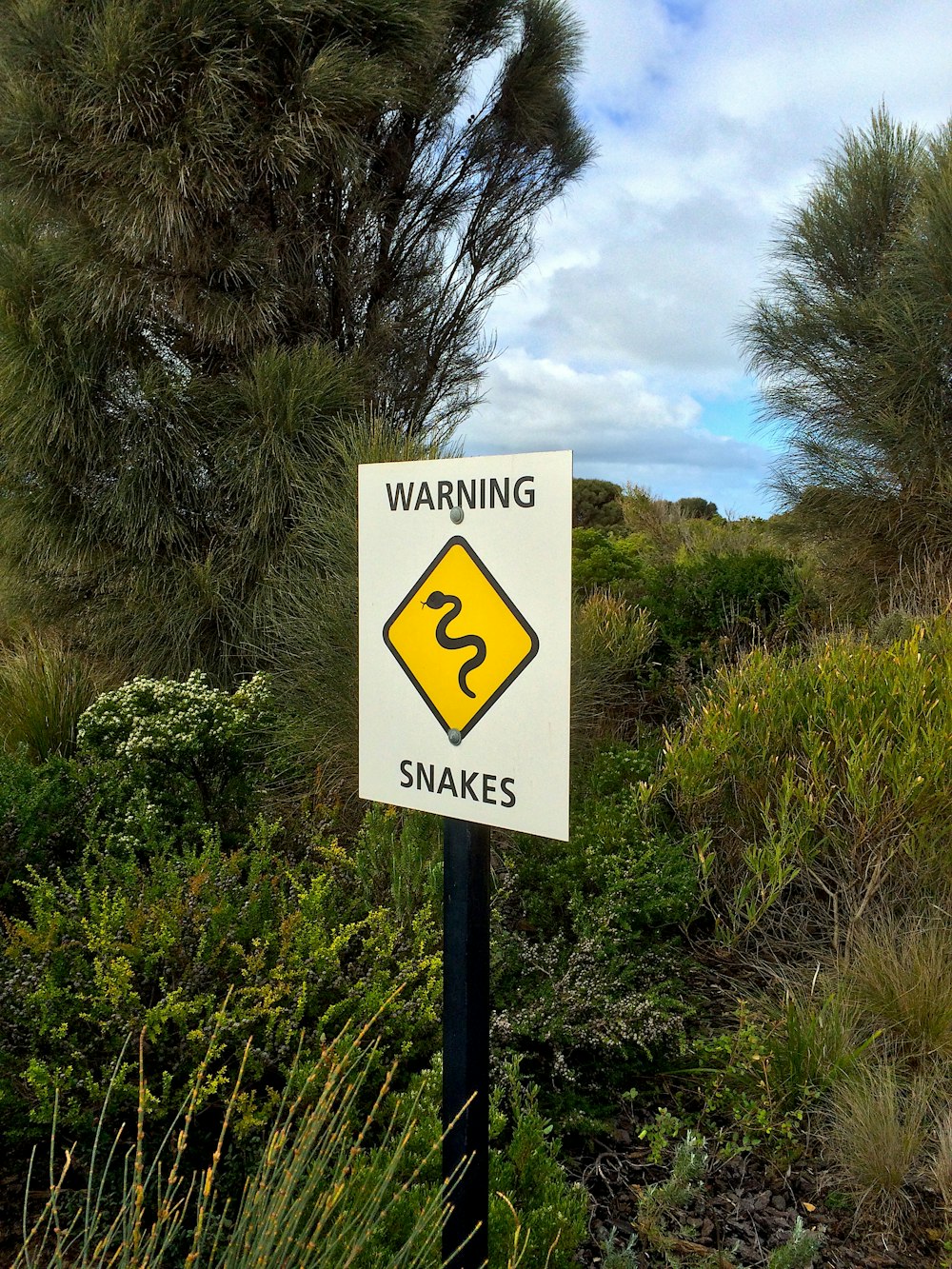 Una señal de advertencia de serpientes en el monte