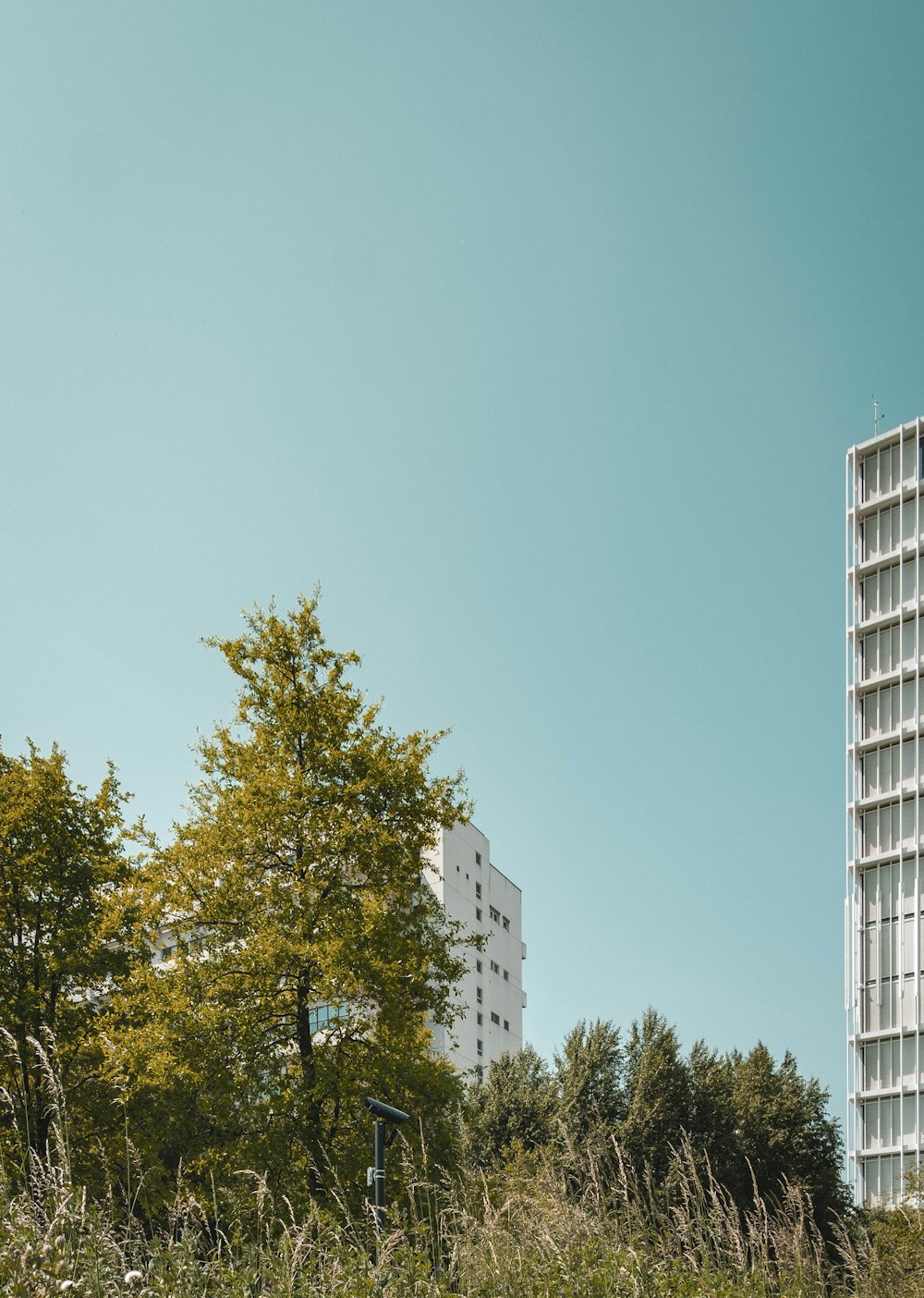 a tall white building sitting next to a lush green forest