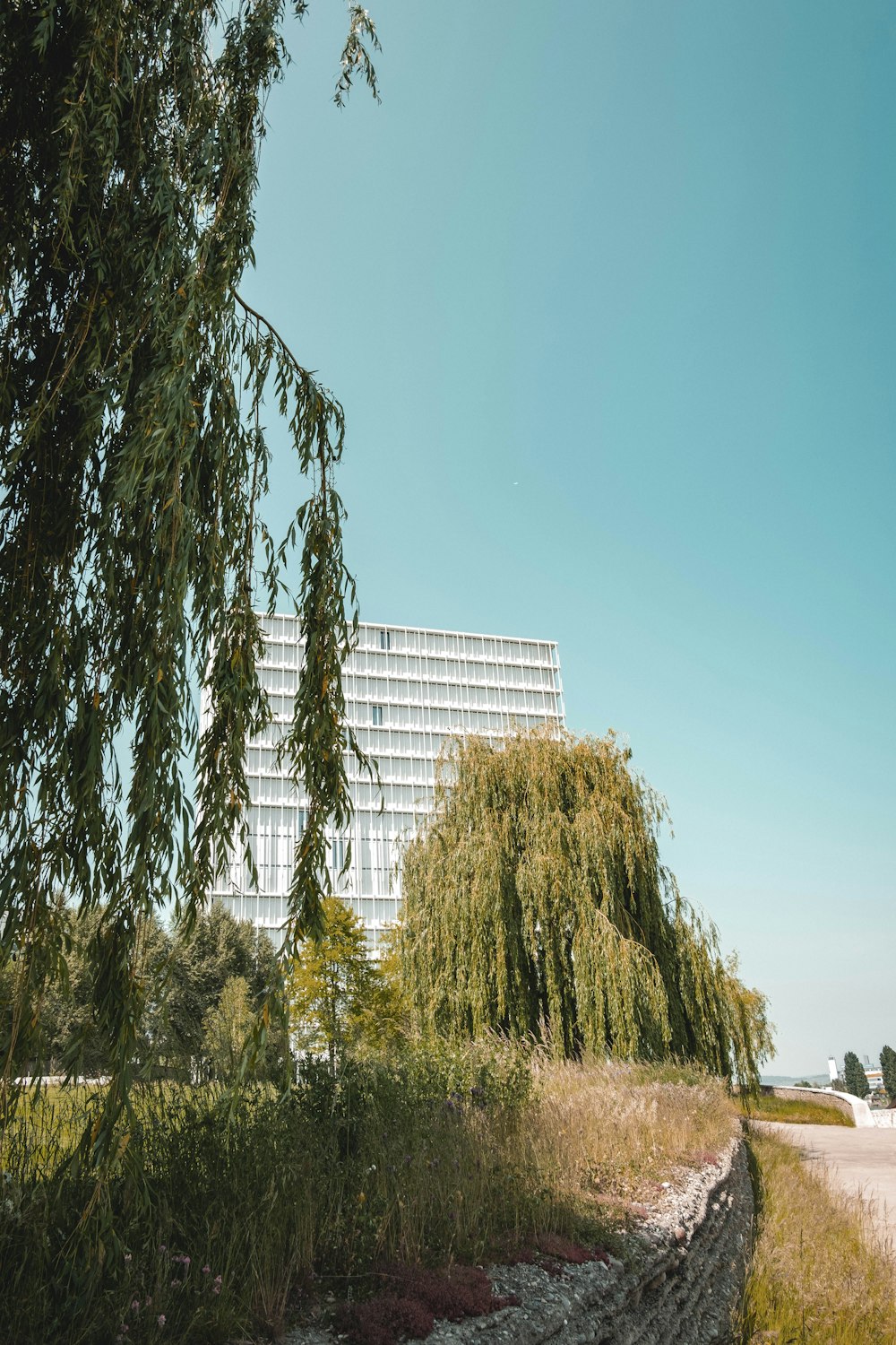 a tall building sitting next to a lush green forest