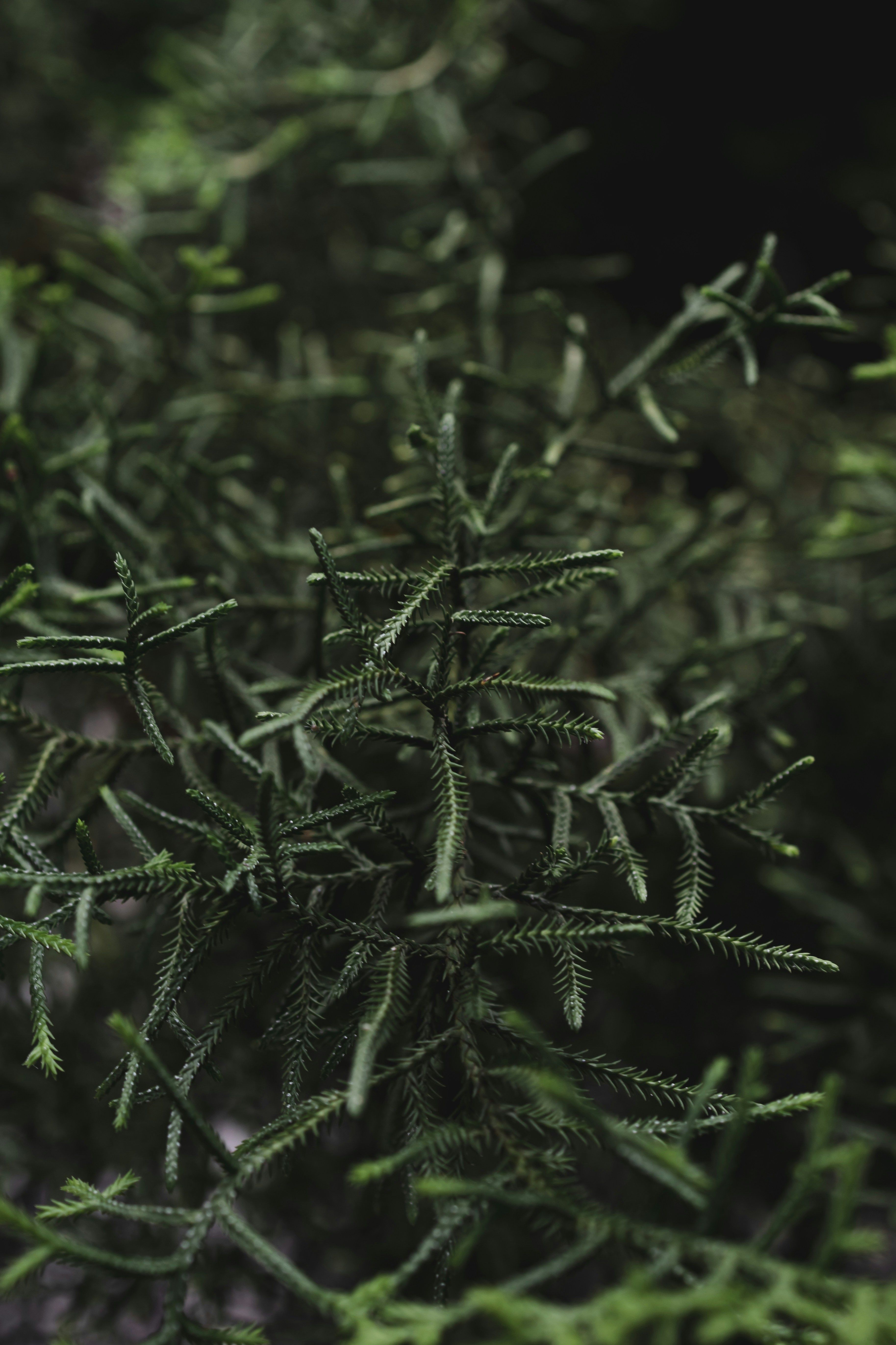 Photo by sameer_srivastava