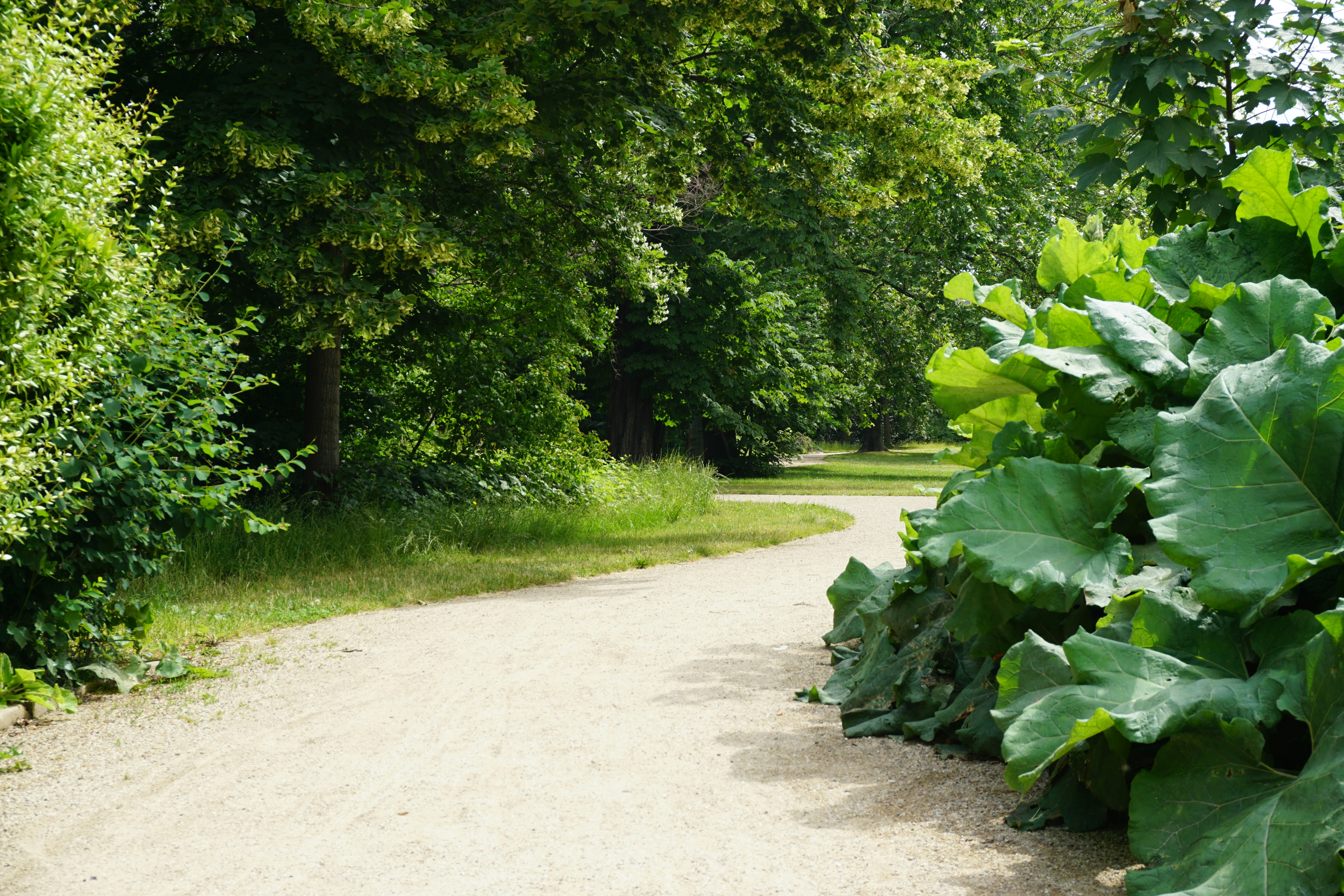 Arboretum des Grandes Bruyères