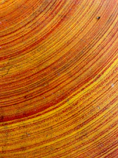 Close-up view of swirling fiery patterns in a scrying painting.