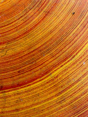 Close-up of a vibrant orange and blue custom rubber mat with intricate swirl patterns.