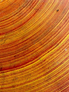 Top view of a bright lazy susan featuring fluid acrylic patterns in reds and oranges.