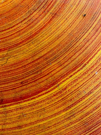 Top view of a bright lazy susan featuring fluid acrylic patterns in reds and oranges.