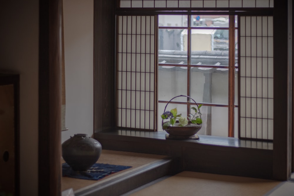 a potted plant sitting on top of a window sill