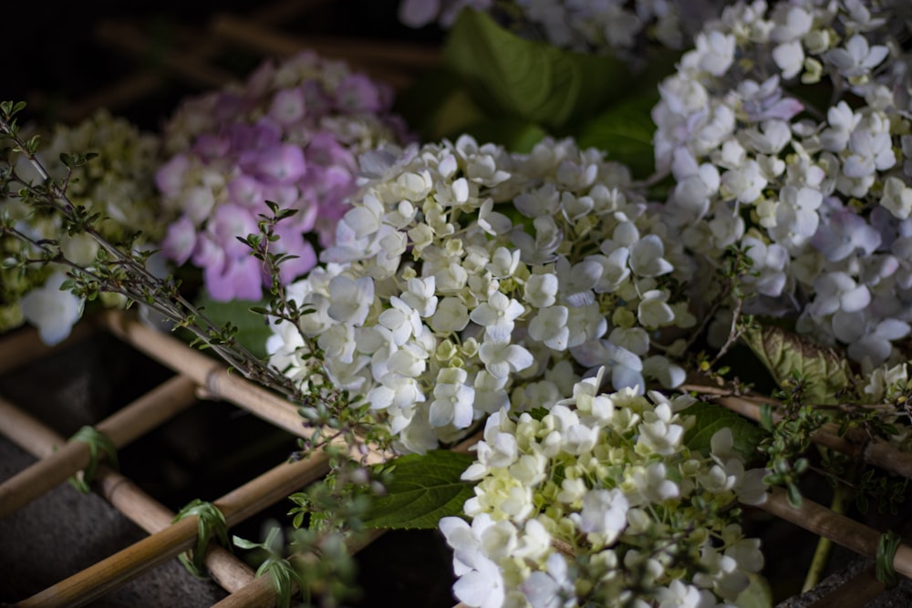 a bunch of white and purple flowers on a table