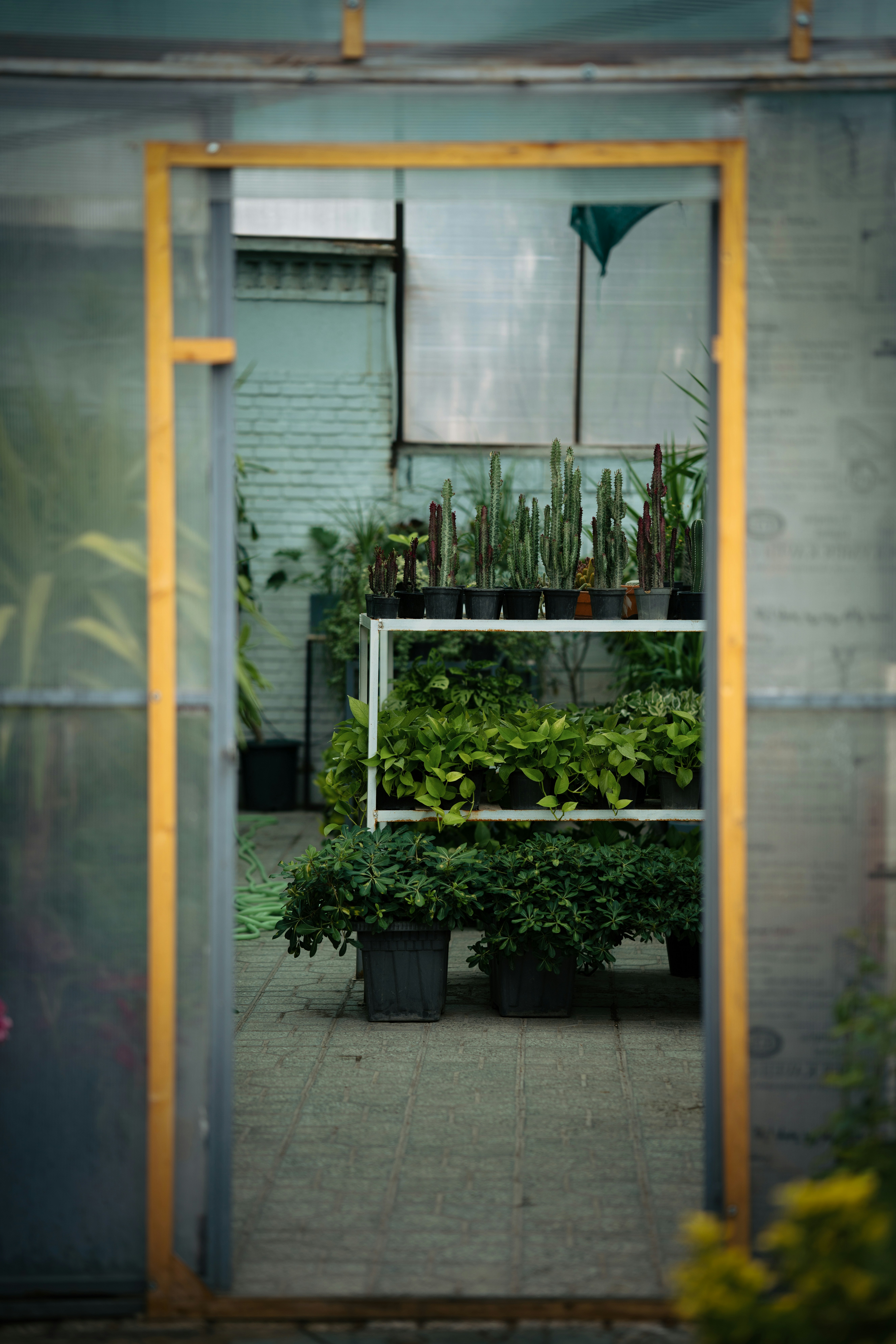 Photo by mohsenamerri