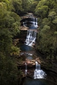 a large waterfall in the middle of a forest