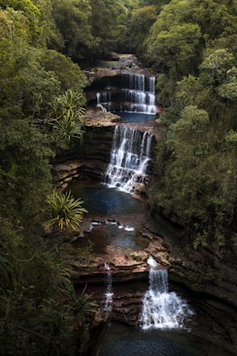 a large waterfall in the middle of a forest