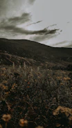 A moody landscape capturing the essence of a quiet, untouched destination