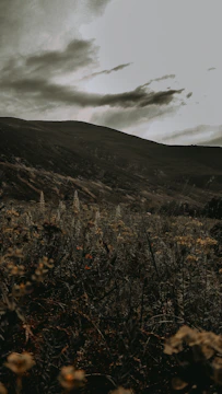 A moody landscape capturing the essence of a quiet, untouched destination