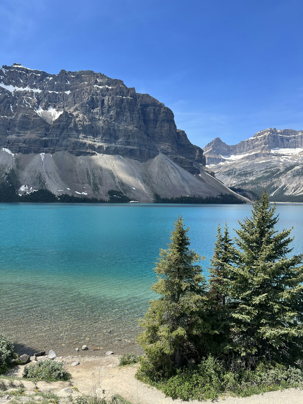 a view of a mountain lake with trees in the foreground