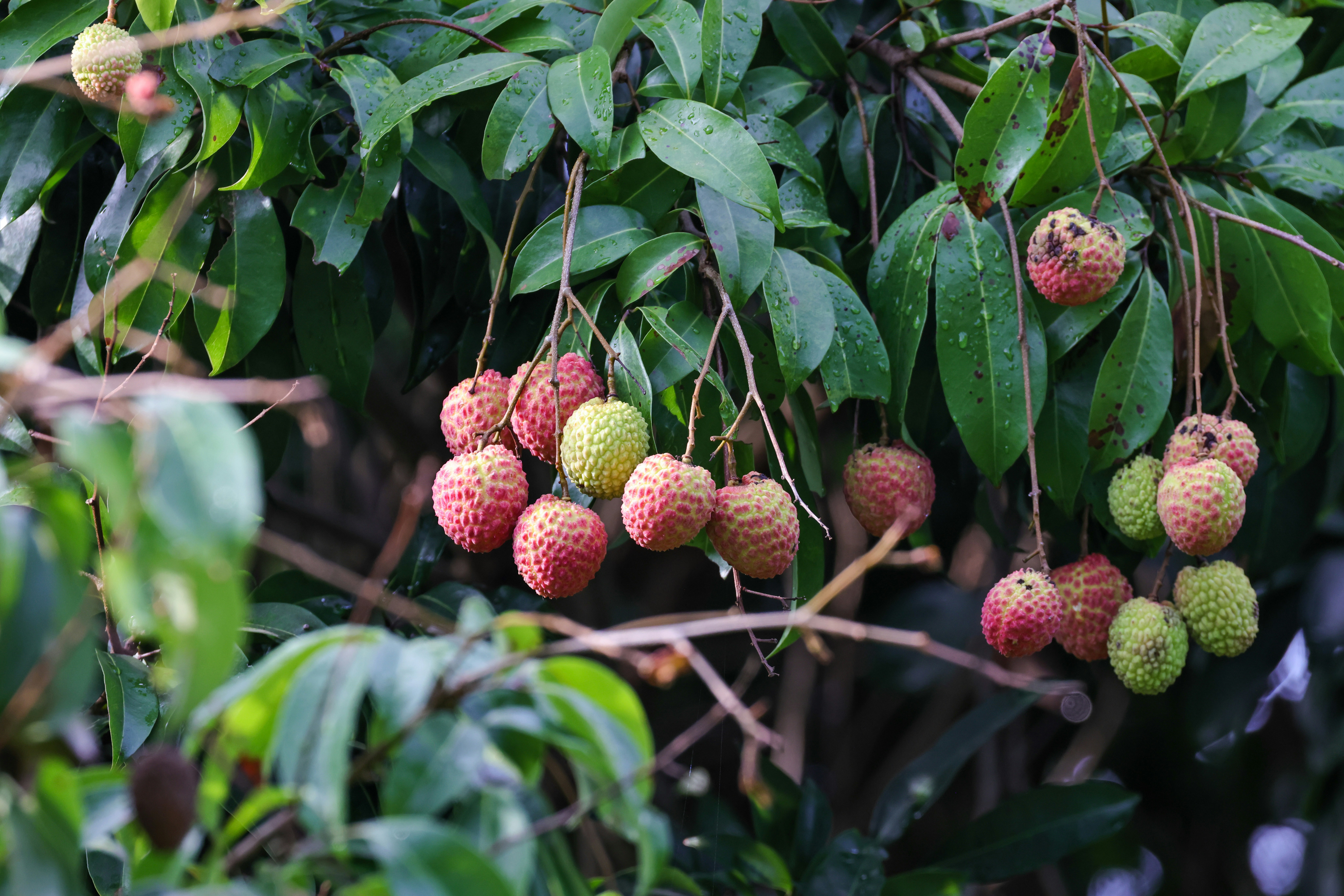 Photo by dickenslin76