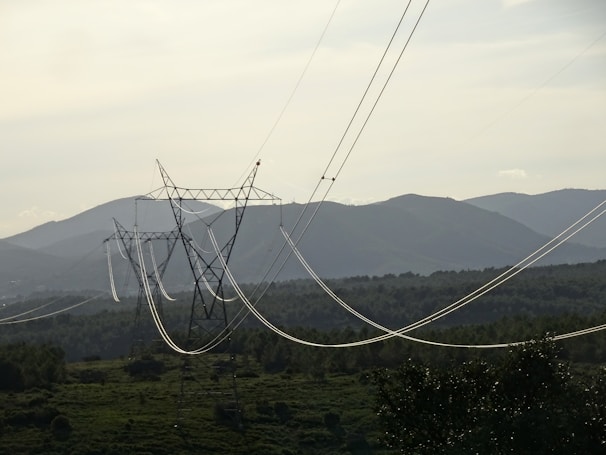 Electrical engineers inspecting high voltage power lines in a rural area.