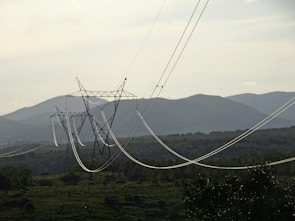 A rural Ontario landscape with Hydro One transmission towers stretching across rolling hills.