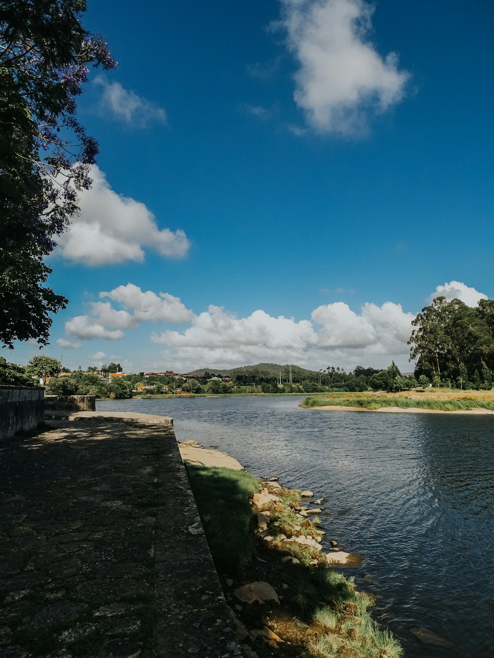 a large body of water surrounded by trees