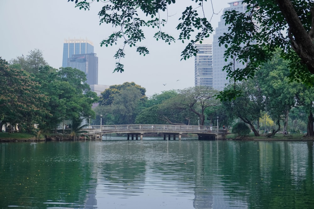 a bridge over a body of water surrounded by trees