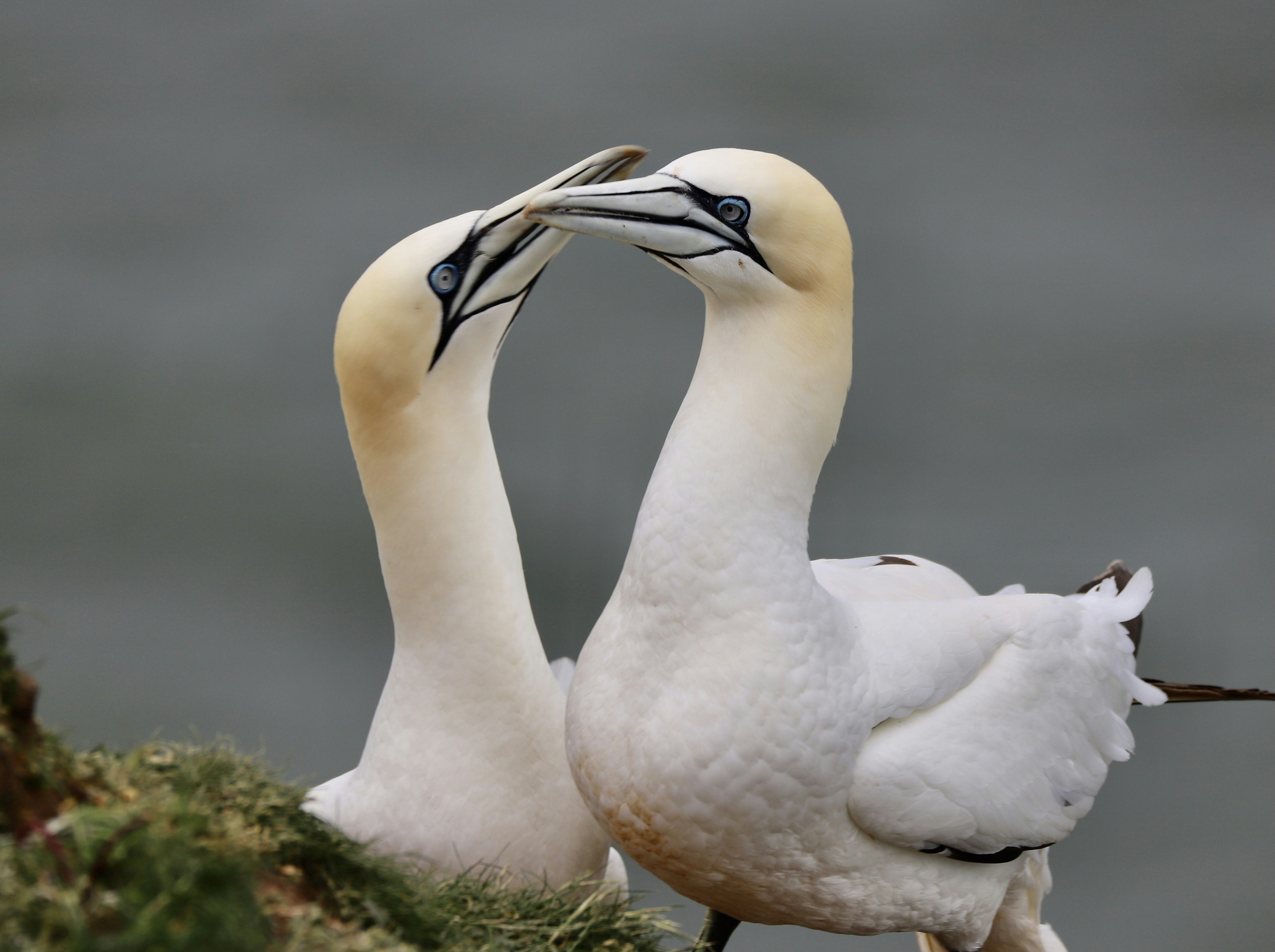 Photo by puffinadventures