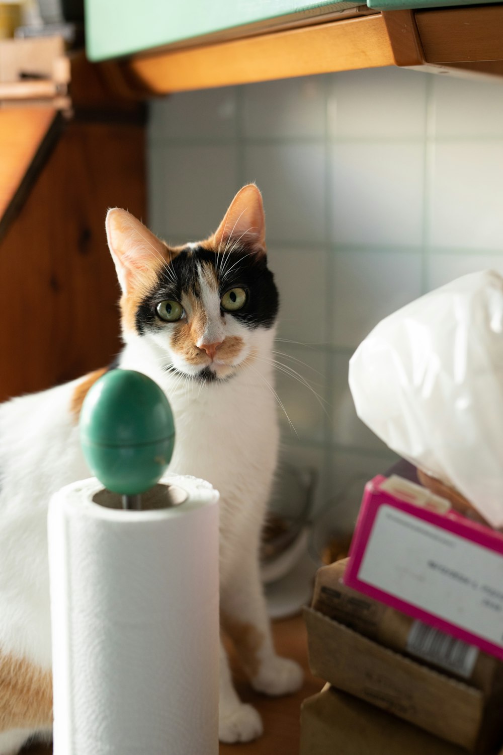 a cat sitting on a counter next to a roll of toilet paper