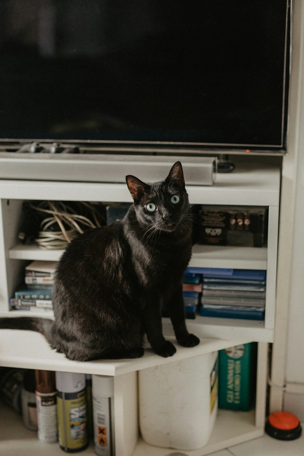 a black cat sitting on top of a white shelf