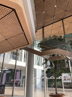 A modern interior space featuring large glass windows, geometric ceiling designs, and a potted tree. The area is well-lit with natural light and has a sleek, contemporary style with wood and metal elements. A screen in the corner is partially visible.