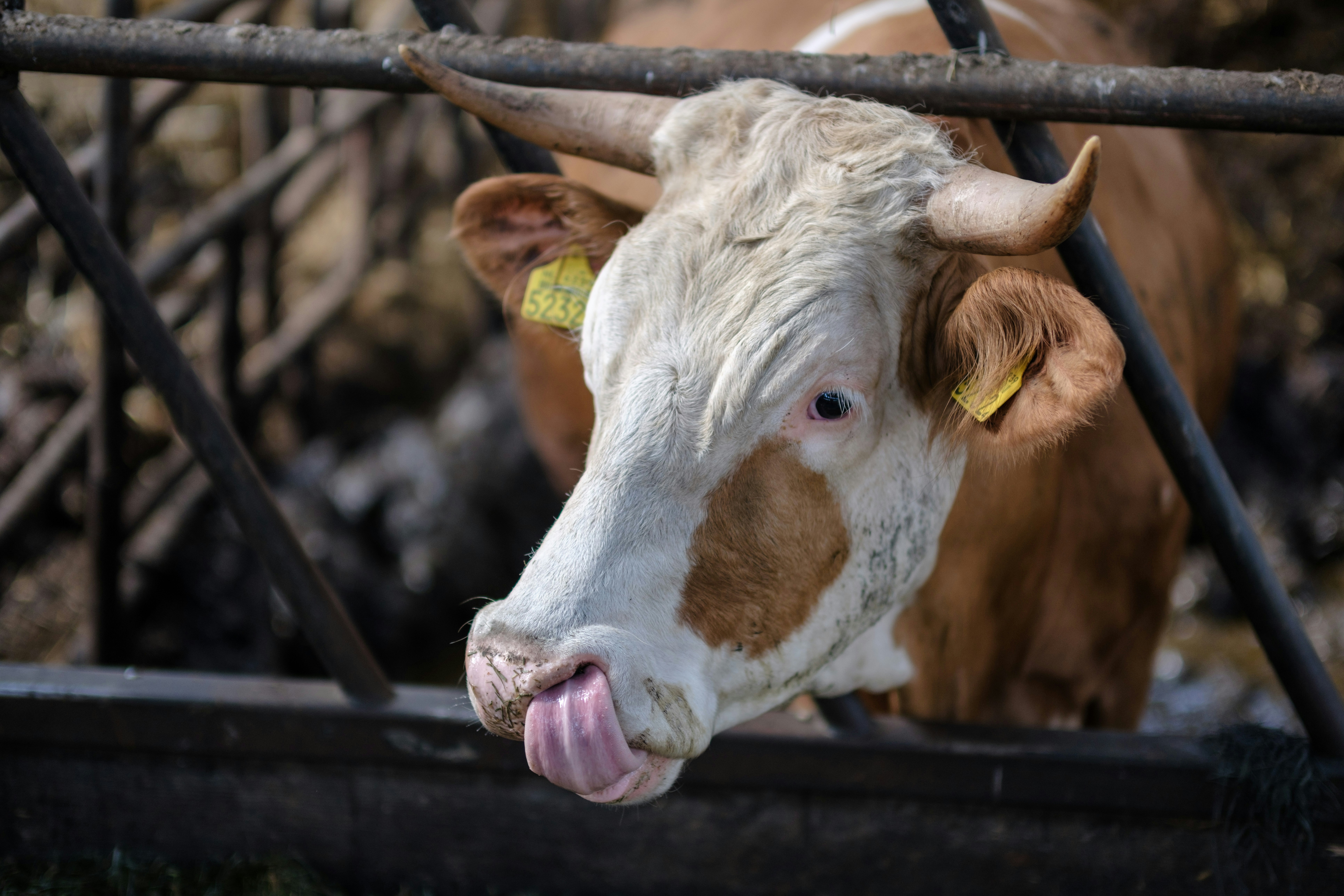 Photo by haberdoedas2