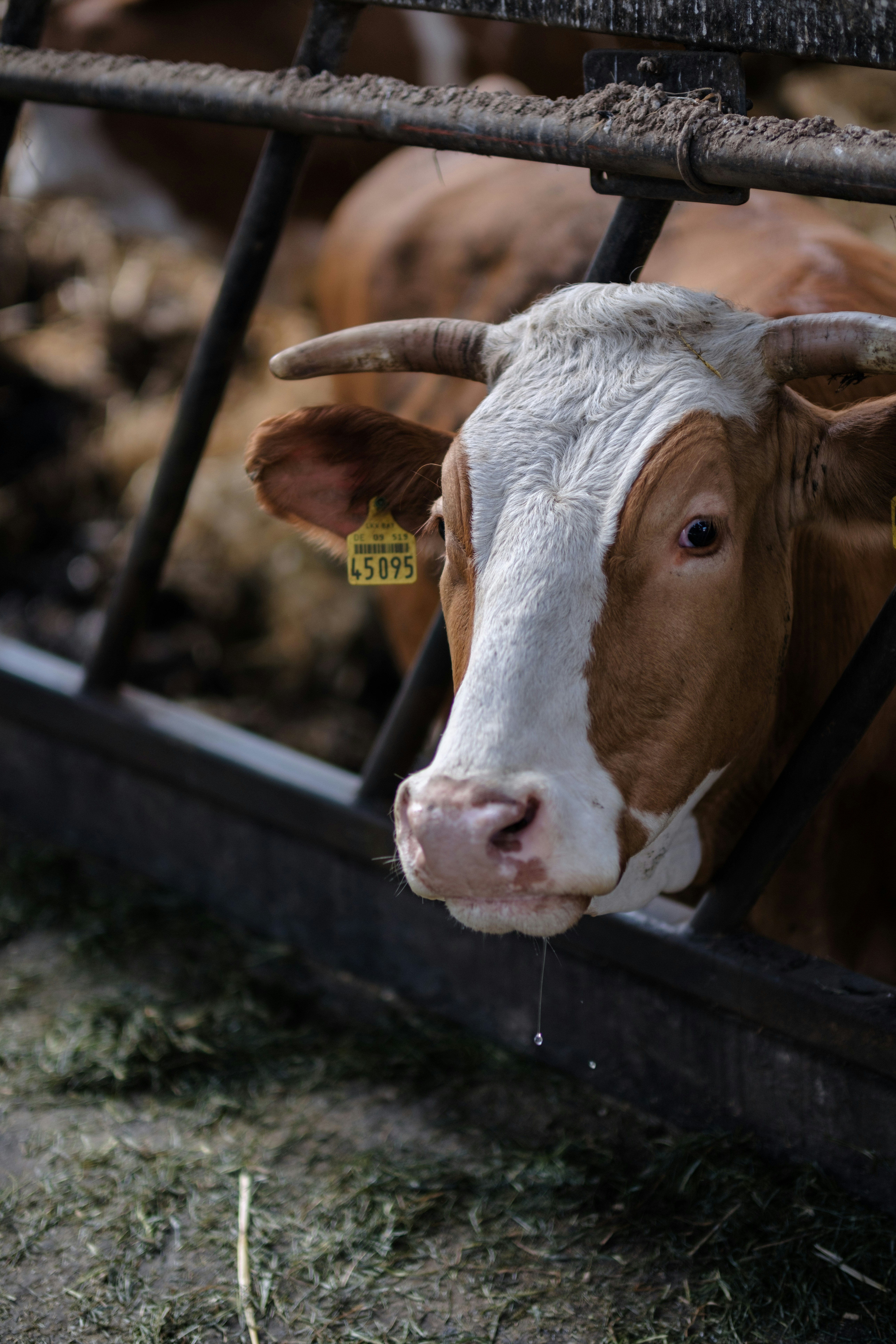 Photo by haberdoedas2