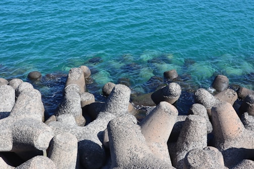 Oceanographer Sharl Noboa explaining tsunami prevention