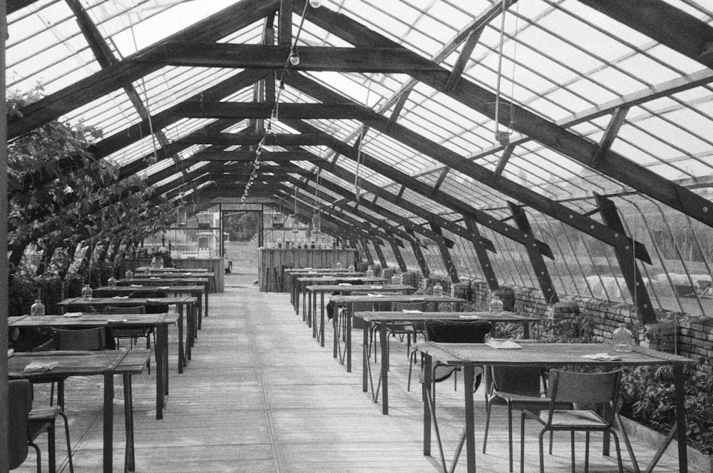 a black and white photo of tables and chairs in a greenhouse