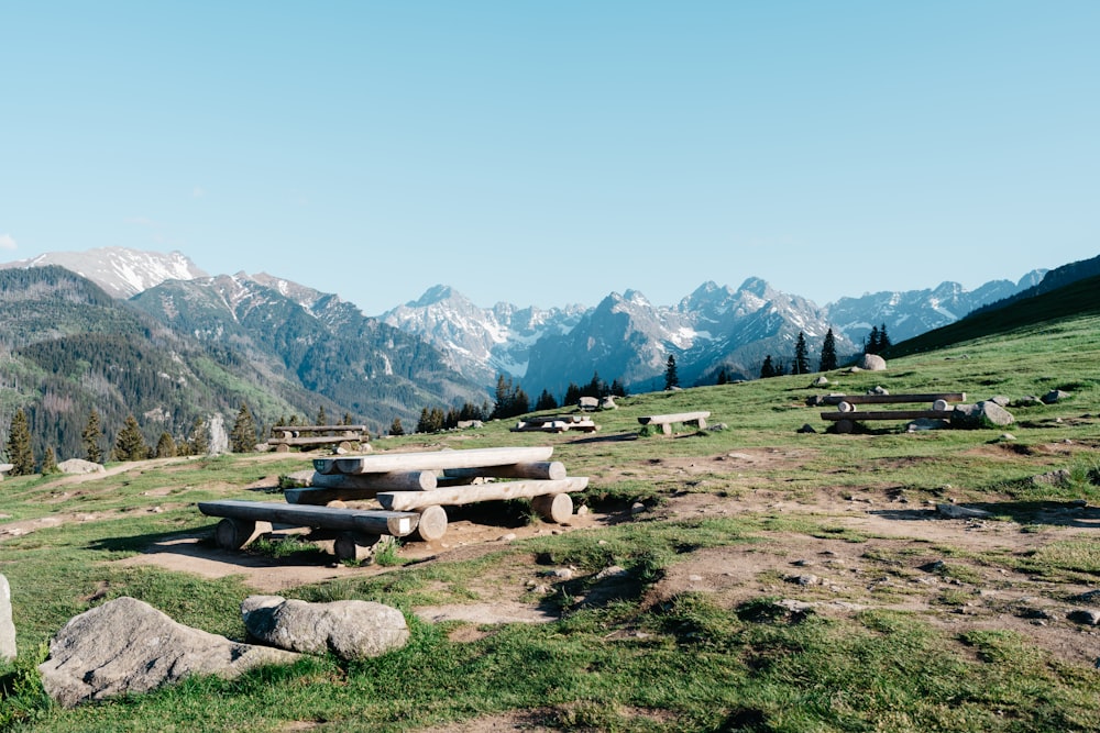 a group of benches sitting on top of a lush green hillside