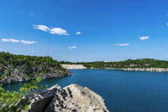 a large body of water surrounded by trees
