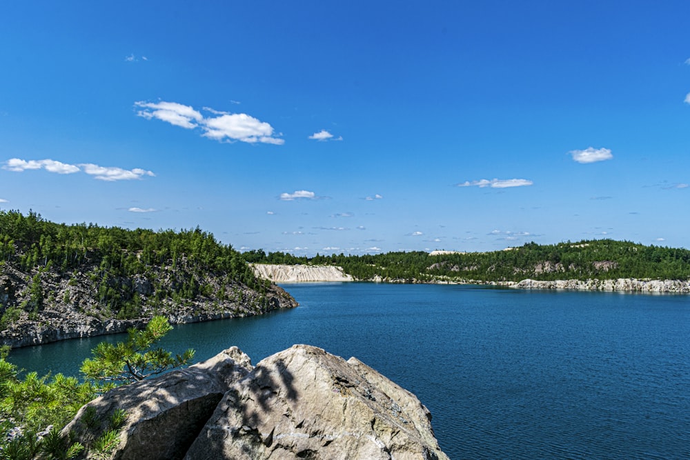 a large body of water surrounded by trees