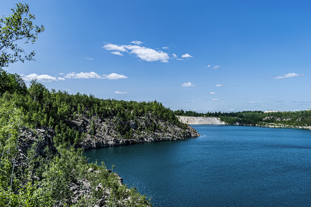 a large body of water surrounded by trees