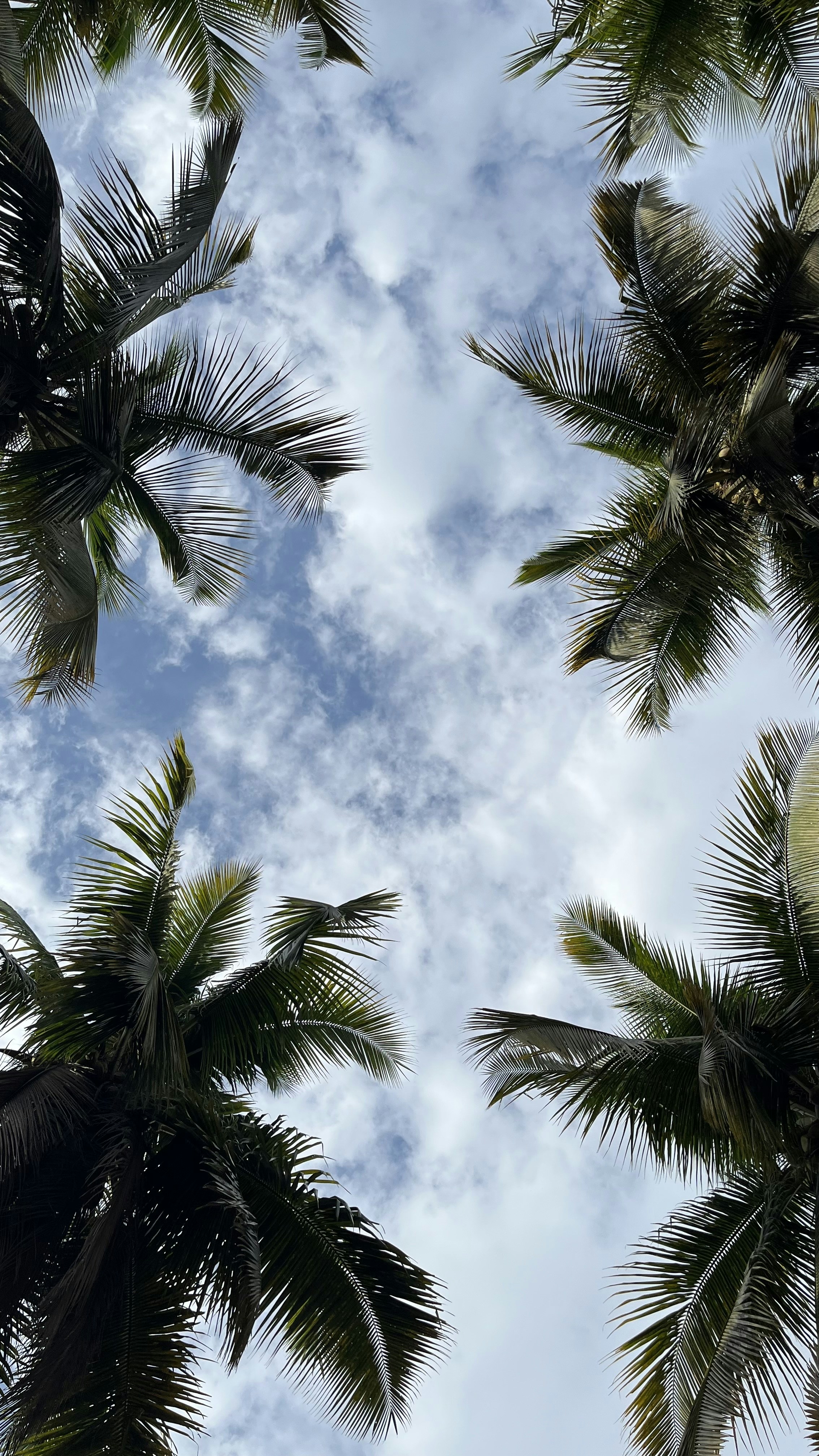 Photo by vishwasnavadak