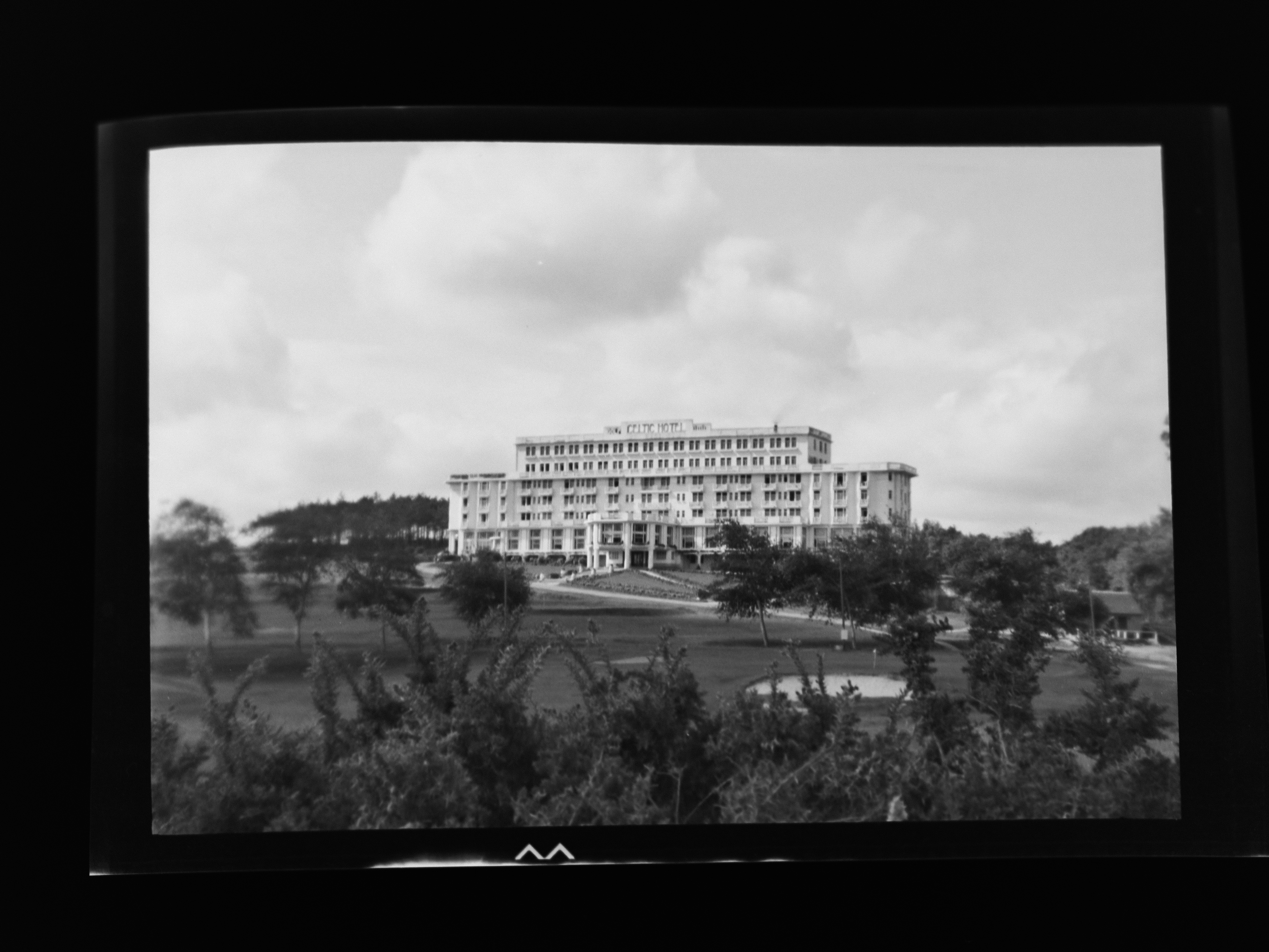 Photo by anniespratt