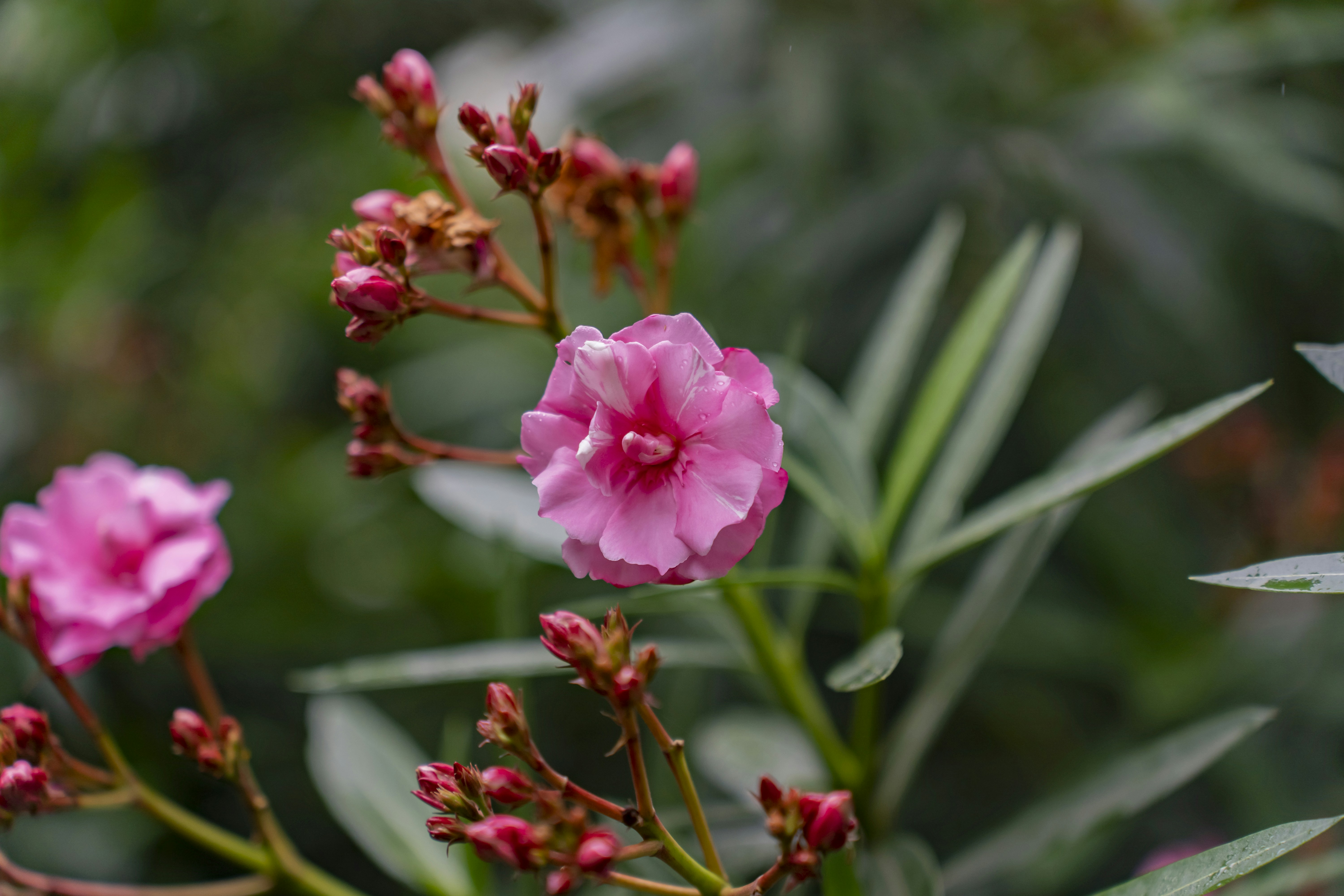 Photo by kevinwang413156