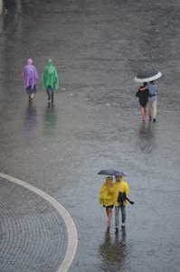 Several people walk on a wet cobblestone street in the rain, wearing brightly colored raincoats and carrying umbrellas. Two individuals in yellow raincoats hold a black umbrella, walking close together. Another pair, with one person in a purple raincoat and the other in green, walk separately, also carrying an umbrella.