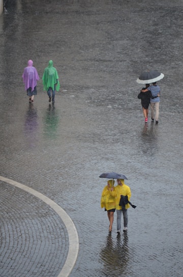 Several people walk on a wet cobblestone street in the rain, wearing brightly colored raincoats and carrying umbrellas. Two individuals in yellow raincoats hold a black umbrella, walking close together. Another pair, with one person in a purple raincoat and the other in green, walk separately, also carrying an umbrella.
