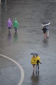 Several people walk on a wet cobblestone street in the rain, wearing brightly colored raincoats and carrying umbrellas. Two individuals in yellow raincoats hold a black umbrella, walking close together. Another pair, with one person in a purple raincoat and the other in green, walk separately, also carrying an umbrella.