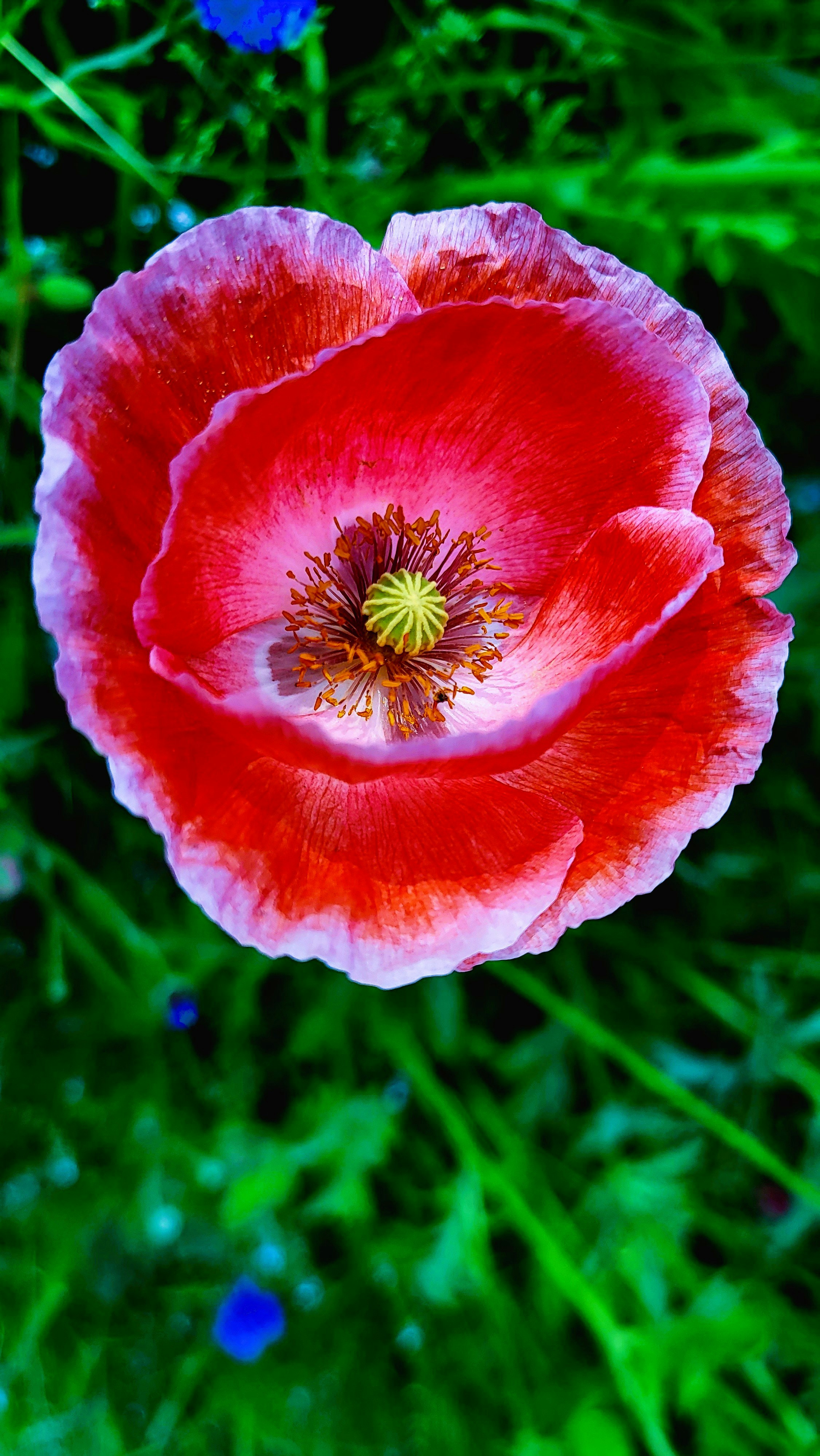 Photo by margitsunnysideup