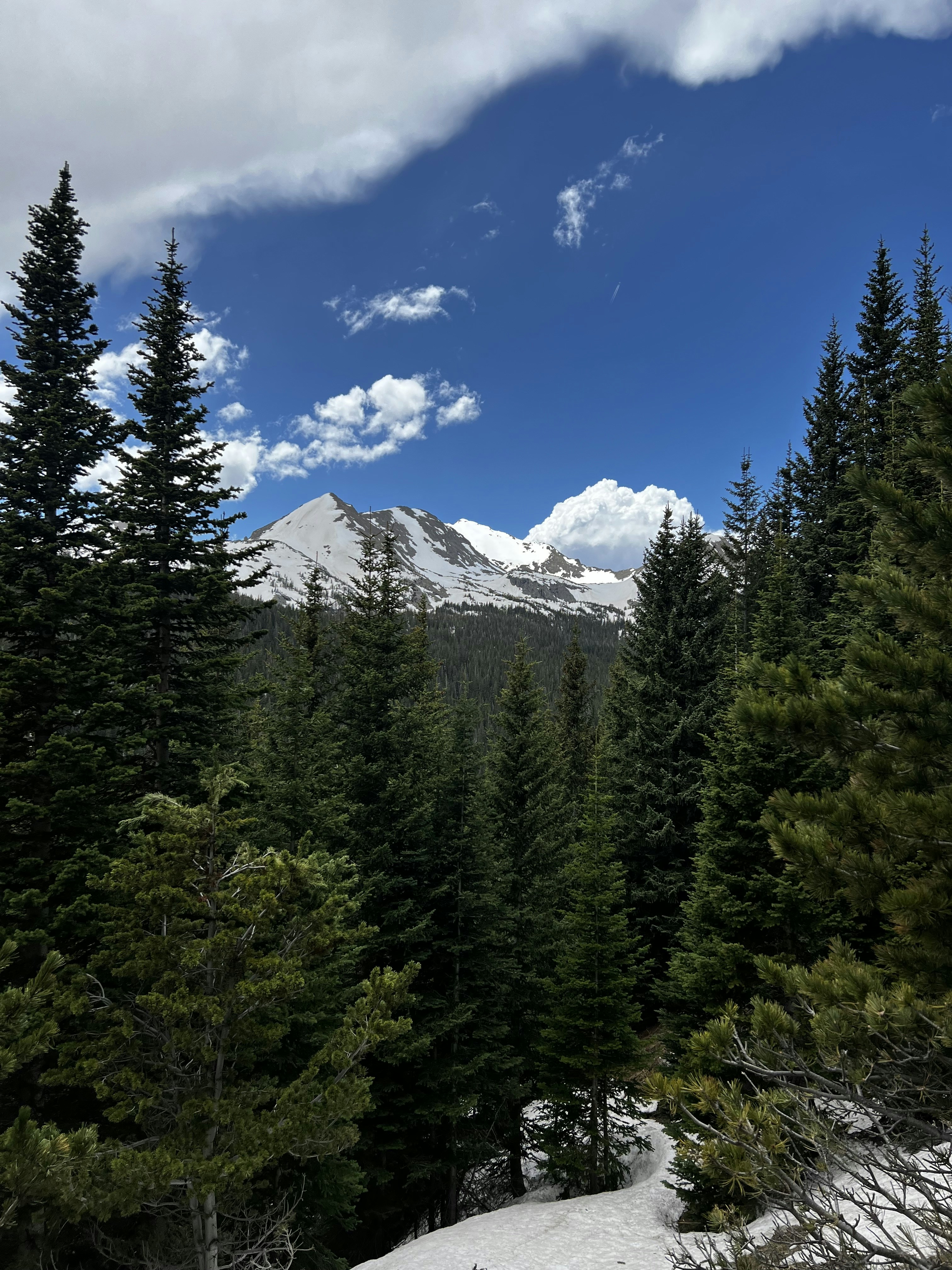 Photo by laitonbarbo