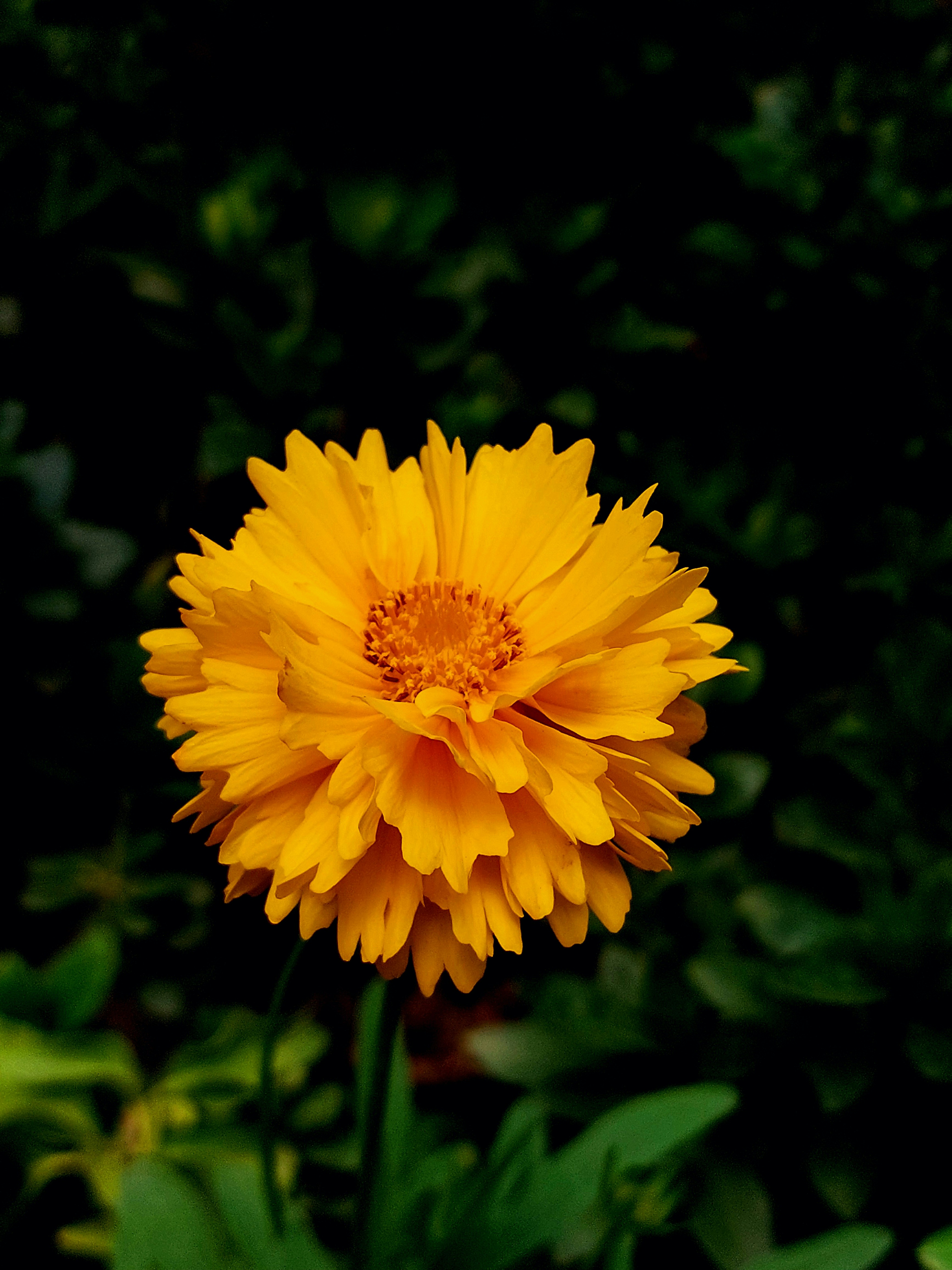 Photo by pankajprakash