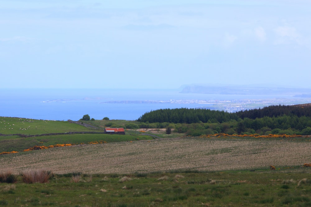 a grassy field with a house in the distance