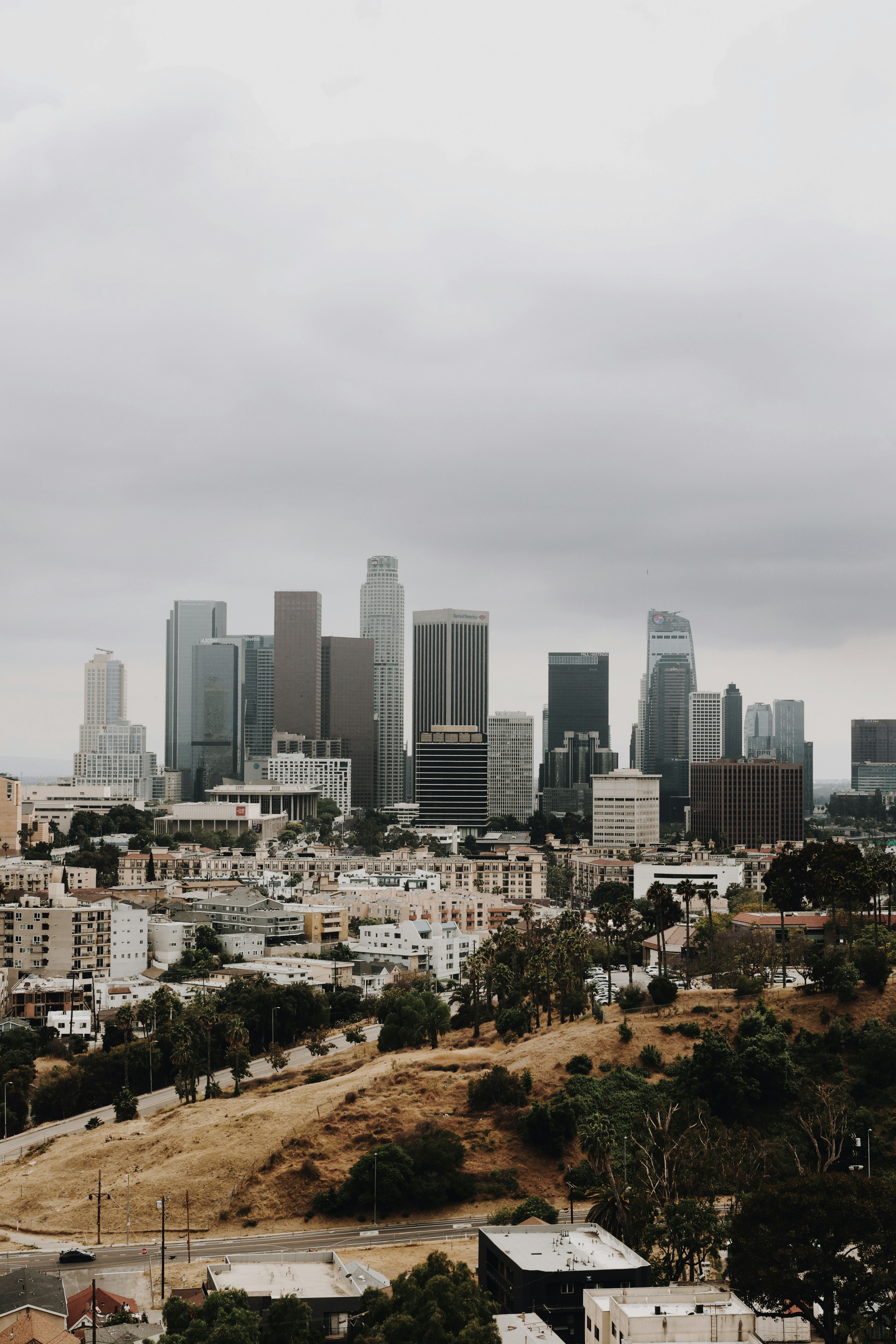 Photo by jonathansancheziam