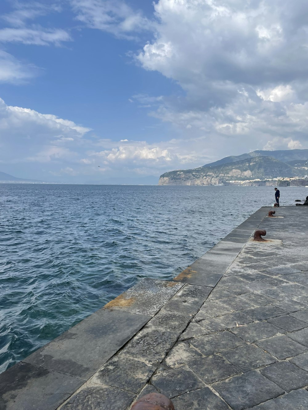 a person standing on a pier next to the ocean