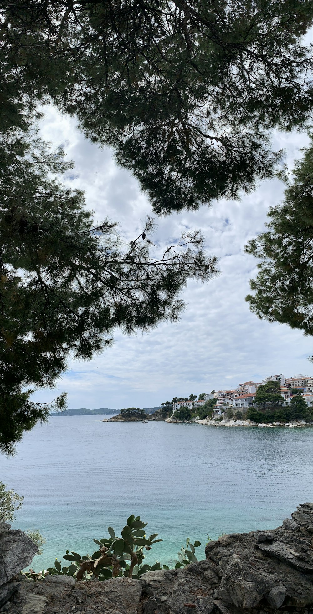 a view of a body of water through some trees