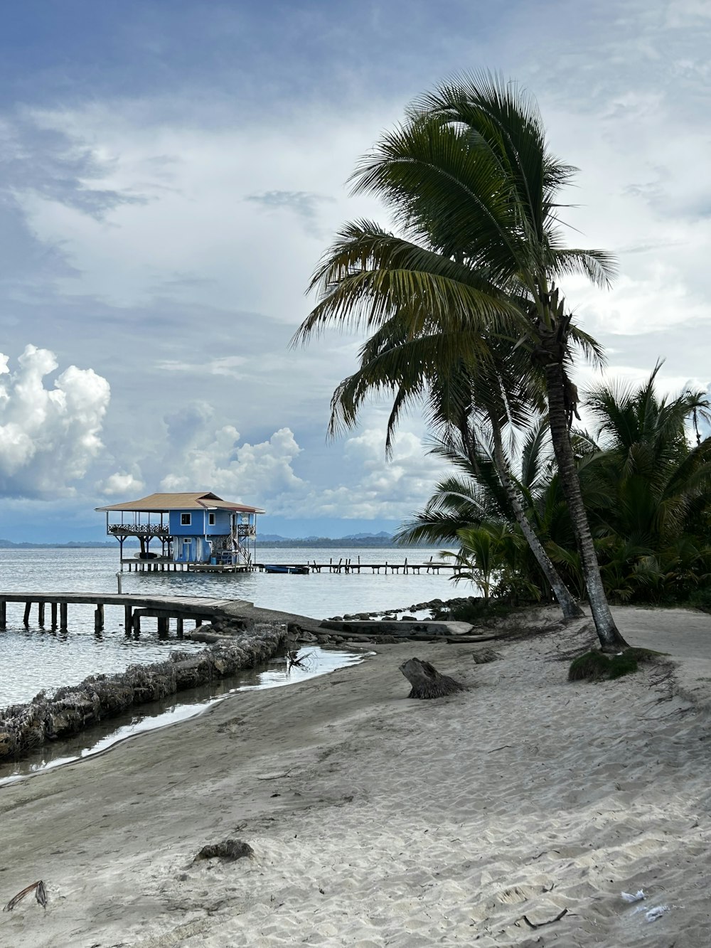a beach with a pier and a palm tree